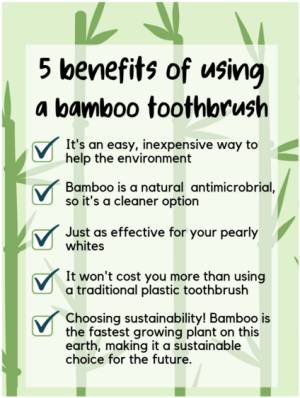 list of 5 Benefits of using a Bamboo Toothbrush